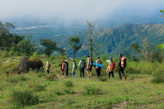 Tremolent за нас